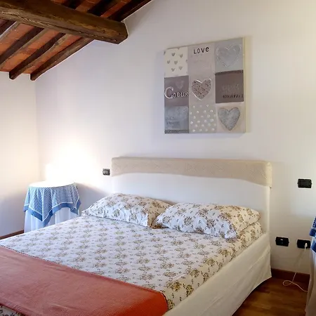Rustico Con Piscina Massarosa